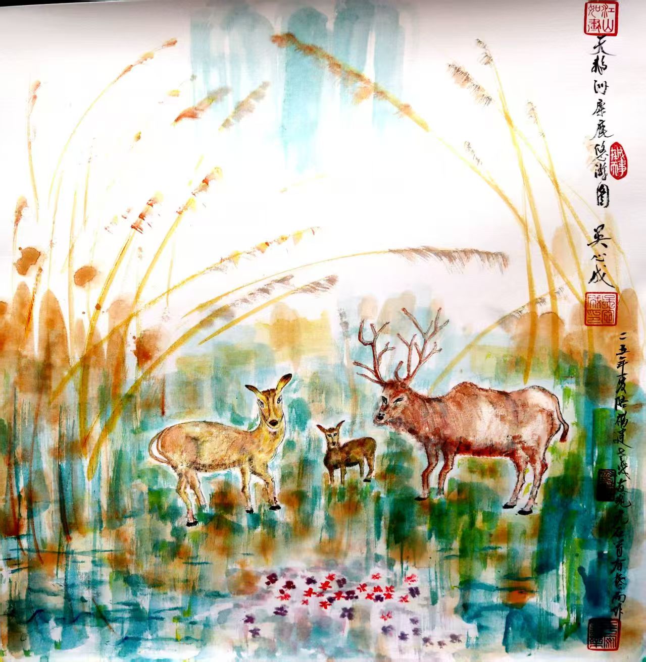 微信图片_20260423122431_243_5.jpg