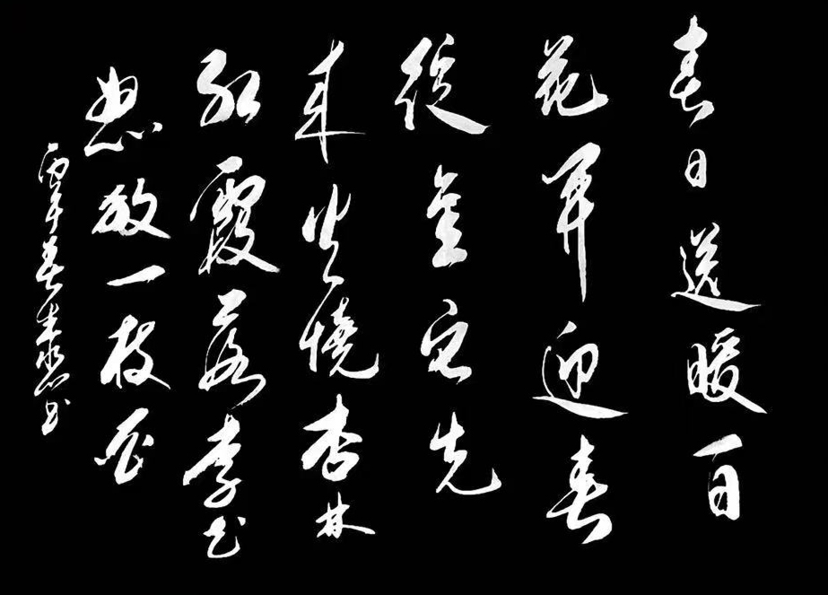 微信图片_20260423215748_54_7.jpg